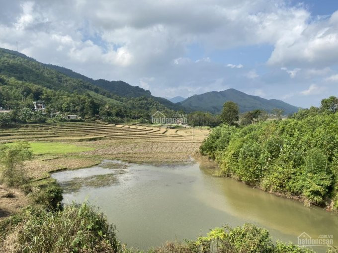 Cơ Hội Lớn Cho Các Nhà đầu Tư đất Mặt Hồ 21700m2 Có 1000m2 đất Thổ Cư Tại Kim Bôi, Hòa Bình 9