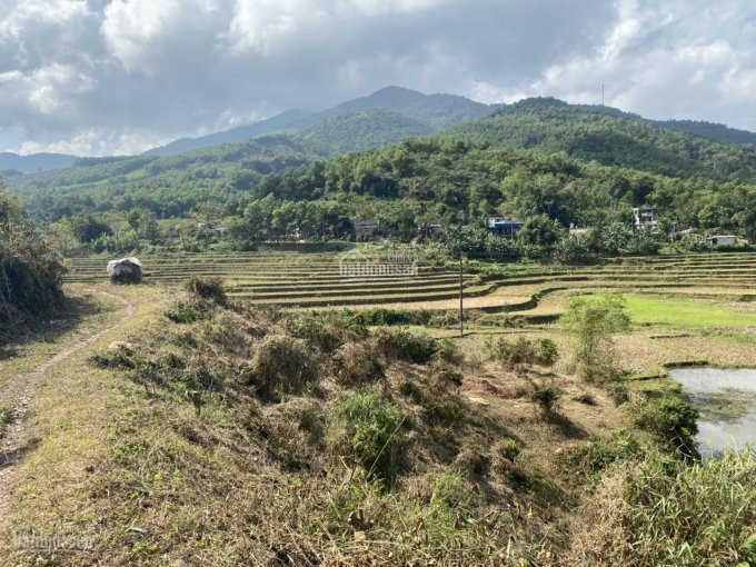 Cơ Hội Lớn Cho Các Nhà đầu Tư đất Mặt Hồ 21700m2 Có 1000m2 đất Thổ Cư Tại Kim Bôi, Hòa Bình 11