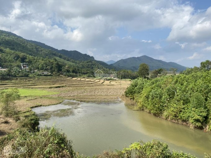 Cơ Hội Lớn Cho Các Nhà đầu Tư đất Mặt Hồ 21700m2 Có 1000m2 đất Thổ Cư Tại Kim Bôi, Hòa Bình 12