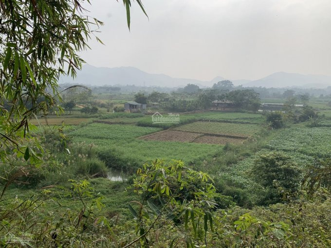 đất Nghỉ Dưỡng Yên Bài Lưng Tựa Núi Mặt Hướng Thủy, địa Thế Cao View Cánh đồng, Dt 3100m2 Giá 5 Tỷ 3