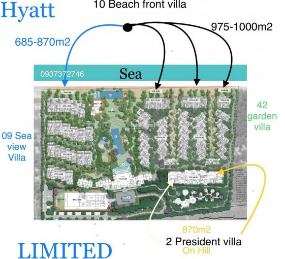 Hyatt Hồ Tràm Resort Thu Hút Rất Nhiều Kh đầu Tư,từ Thành Công Của Thương Hiệu Hyatt Tại Việt Nam 6