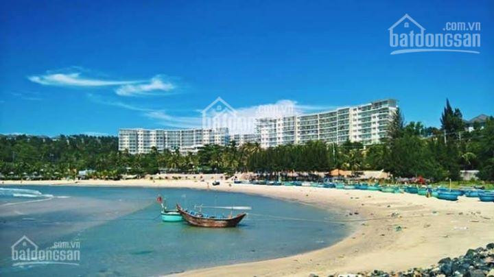 Mua Nhà đón Tết - Cập Nhật Giỏ Hàng 1pn, 2pn, 3pn Giá Tốt Nhất Thị Trường Căn Hộ Biển Ocean Vista 2