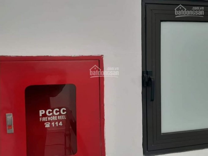 Nhà Mặt Phố -vạn Phúc - 80m2 9 Tầng Mặt Tiền 5m 25 Tỷ Thang Máy, Kinh Doanh 4