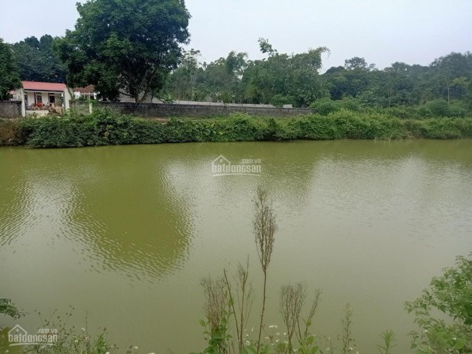 Nhanh Tay để Sở Hữu Ngay 1310m2 đất Bám Mặt Hồ Giá Rẻ Nhất Tại Liên Sơn, Lương Sơn, Hòa Bình 1