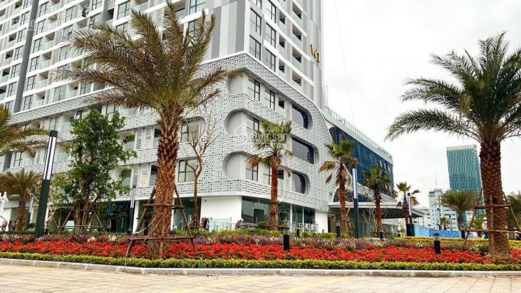 Nhượng Lại Suất Mua Căn 01 Tòa W2 - 3pn Ban Công đông Nam Tầng Trung, Duy Nhất Vinhomes West Point 3