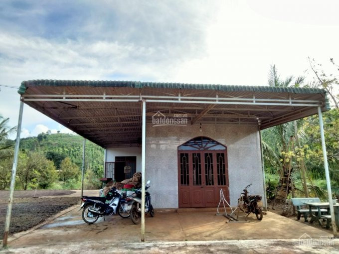 Nợ Ngân Hàng Cần Ra Gấp 4 Héc Nhà Vườn Trung Tâm Xã Nâm Njang, Cách Quốc Lộ 14 Khoảng 6km 3