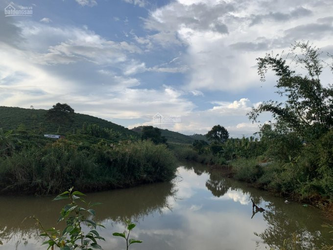 Siêu Phẩm Farmstay View Sông đại Nga 600m2, Giá 690tr, đường Nhựa 8m 4