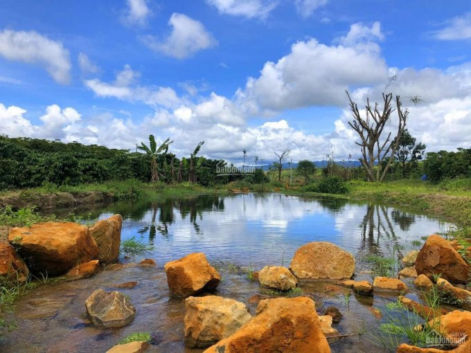 Tôi Cần Bán đất Bảo Lộc View Suối Hồ Tự Nhiên  , Gía :15tr/m2 ,  Lh :0908 919 220 2