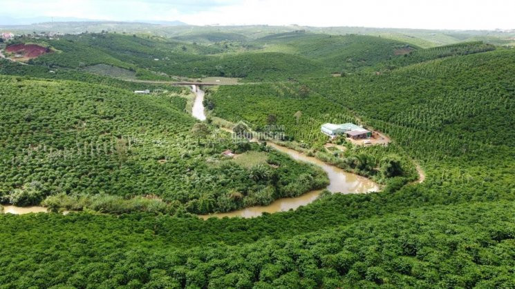 Tuyệt Tác Thiên Nhiên - Farmstay Nghỉ Dưỡng 500m2 View Sông đại Nga - Bảo Lộc - Lâm đồng 700 Tr 3