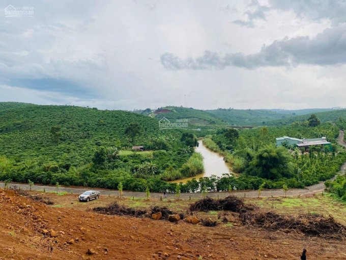 Tuyệt Tác Thiên Nhiên - Farmstay Nghỉ Dưỡng 500m2 View Sông đại Nga - Bảo Lộc - Lâm đồng 700 Tr 5