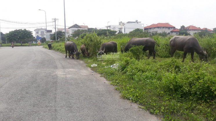 Văn Phòng Q2 Cho Thuê, Dt: 8*20m Hầm 3 Sàn Suốt Máy Lạnh đầy đủ, Giá 45tr/th Lh: Quân 0901380809 3