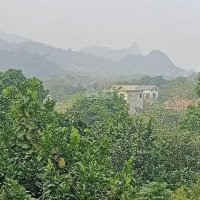 Chính Chủ Cần Bán 2800m2 đất đã Có Tường Bao Xung Quanh Giá đầu Tư Tại Liên Sơn, Lương Sơn, Hòa Bình