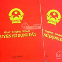 Chính Chủ Cần Bán Dự án Thương Mại Và Văn Phòng 3916m2 Phố Láng Hạ