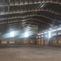 Chính Chủ Cần Cho Thuê Kho 1200m2 đường Trần đại Nghĩa, Pccc, Cont Ra Vào 24/24, Cao đẹp