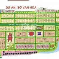 đất Nền đẹp Kdc Sở Văn Hóa Thông Tin Mt Liên Phường, Phú Hữu, Q9, Shr, Giá Tốt Cho đầu Tư Tt 999tr