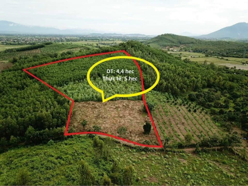 Cần bán Trang trại, rẫy, vườn dự án Vân Phong Bay, Diện tích 40000m², Giá 450 Triệu 11