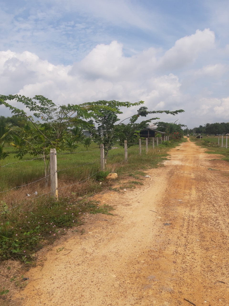 Cần bán Đất đường Lê Minh Công, Xã Tân Phước, Diện tích 2099m², Giá 4.86 Tỷ - LH: 0988609571 6