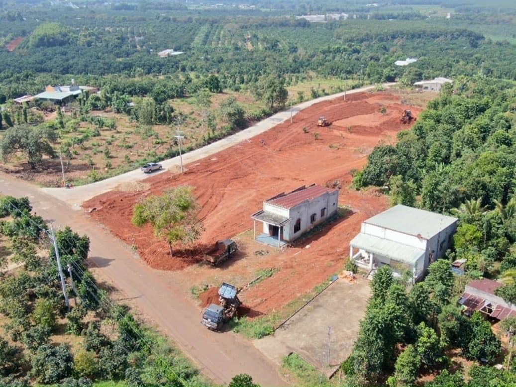 Cần bán Đất nền dự án đường Hắc Dịch, Xã Phú Mỹ, Diện tích 219m², Giá 08 Triệu/m²