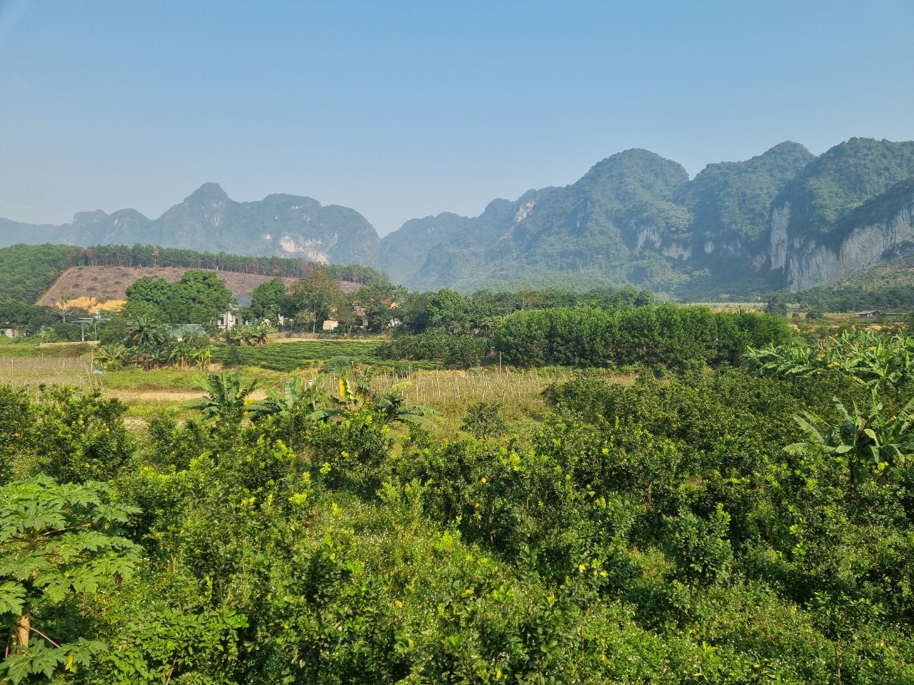 Cần bán Đất Xã Phú Thành, Lạc Thủy, Diện tích 10500m², Giá 4 Tỷ - LH: 0968729955