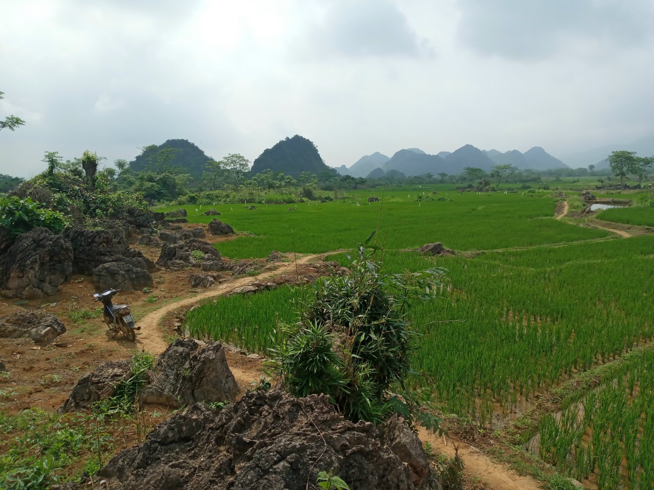 Bán đất đẹp như tranh vẽ miền thung mường , Xã Tú Sơn, Diện tích 14000m², Giá Thương lượng - LH: 0705485999 4