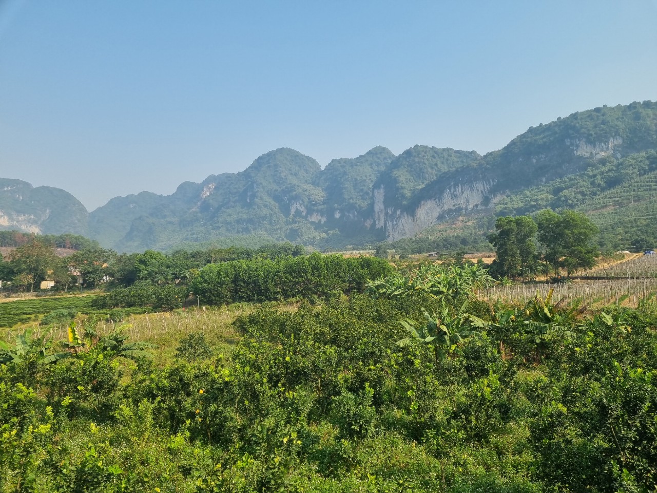 Cần bán Đất Xã Phú Thành, Lạc Thủy, Diện tích 10500m², Giá 4 Tỷ - LH: 0968729955 6
