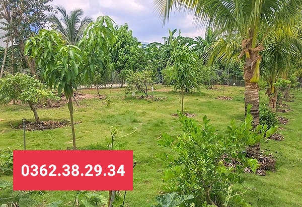 Cần bán Đất Châu Thành, Tây Ninh, Diện tích 5600m², Giá Thương lượng - LH: 0971793766