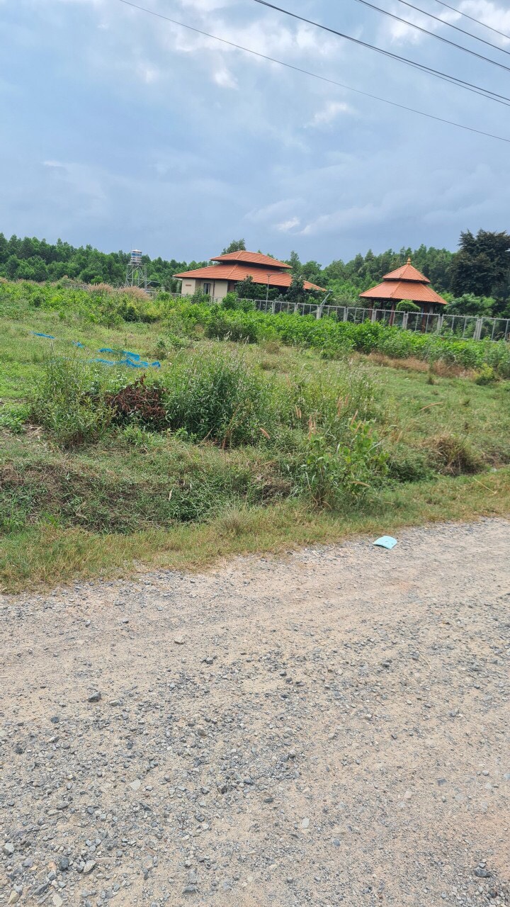 Cần bán Đất đường Nguyễn Thị Chơn, Xã Phước An, Diện tích 3000m², Giá 10.5 Tỷ - LH: 0962575768 1