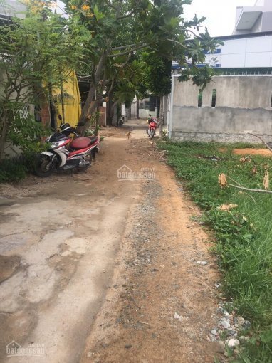 Bán đất gần Coopmart Thanh Hà, Phường Phủ Hà, TP Phan Rang 1