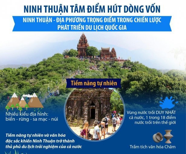 Tại sao nên mua Sunbay Park Phan Rang, căn hộ khách sạn đầu tiên tại Phan Rang, Ninh Thuận giá rẻ 6