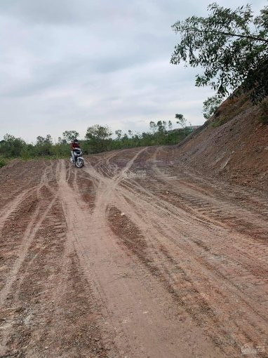 4500m Tại Hoà Nhơn Trong đó Có 400m đất ở đường Xe Container Lh 0905556909 5