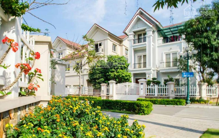 Bán Cắt Lỗ Biệt Thự Song Lập Hoa Phượng 8 Dt 225m2 Sông Sau Nhà Vinhomes The Harmony Lh 092888*** 1
