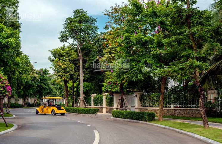 Bán Cắt Lỗ Biệt Thự Song Lập Hoa Phượng 8 Dt 225m2 Sông Sau Nhà Vinhomes The Harmony Lh 092888*** 2