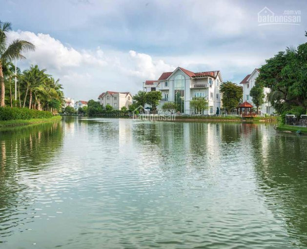 Bán Cắt Lỗ Biệt Thự Song Lập Hoa Phượng 8 Dt 225m2 Sông Sau Nhà Vinhomes The Harmony Lh 092888*** 3