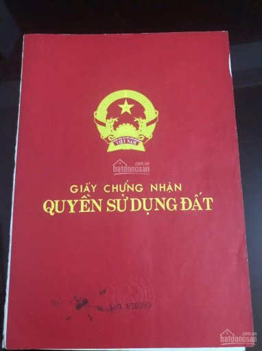 Bán Nhanh Lô đất Mặt đường Xã Cổ đông, Nhanh Tay Kẻo Hết Chính Chủ Miễn Trung Gian 1