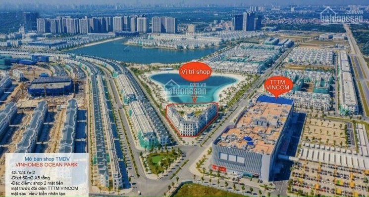 Bán Shophouse Vinhomes Ocean Park, đối Diện Tttm Vincom, Ngay Hồ Nước Mặn, Hàng Ký Mới Cđt 1