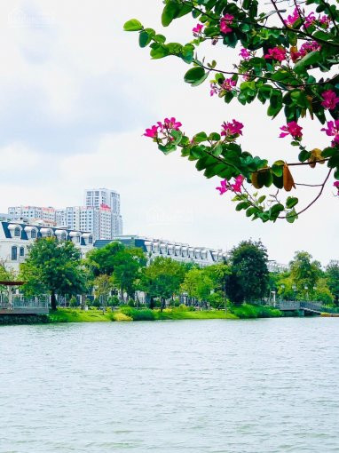 Biệt Thự Lakeview City Full Nội Thất Giá Tốt View đẹp, Dt 8x20m Giá Thuê 35tr/th Lh 0902872670 7