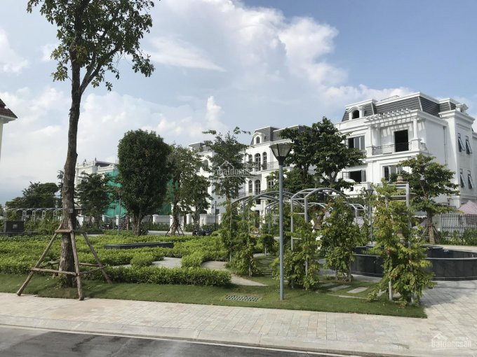 Cần Bán Biệt Thự Nhà Vườn Khu Phong Lan Kiến Trúc Pháp Vinhomes The Harmony Dt 170m2 Lh 092888*** 3
