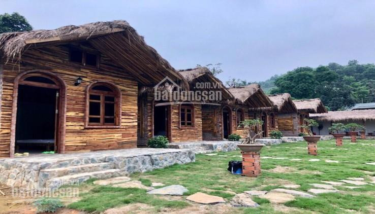 Cần Bán Gấp Homestay 3500 M2 Tại Ba Vì Hà Nội 2