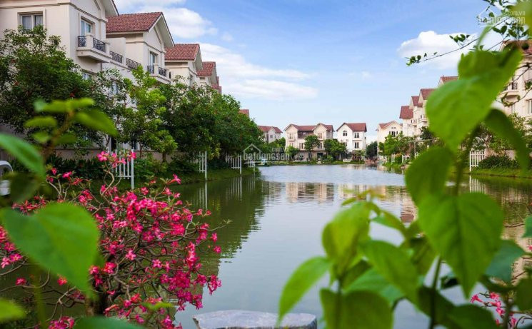 Cần Chuyển Nhượng Bt đơn Lập Hoa Phượng 1 Vinhomes Riverside Dt 626m2 Có Sông Sau Nhà Lh 092888*** 2