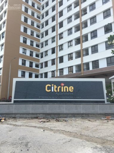 Căn Hộ Citrine Rẻ Nhất Ngay Cđ Công Thương Phước Long B, Quận 9 8