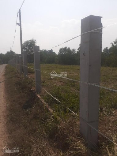 Cần Tiền Ra Gấp Lô đất 120m Giá Chỉ 11 Tr/m2 Mặt Tiền đường Số 2 Gần Cầu Long đại Long Phước Quận 9 1