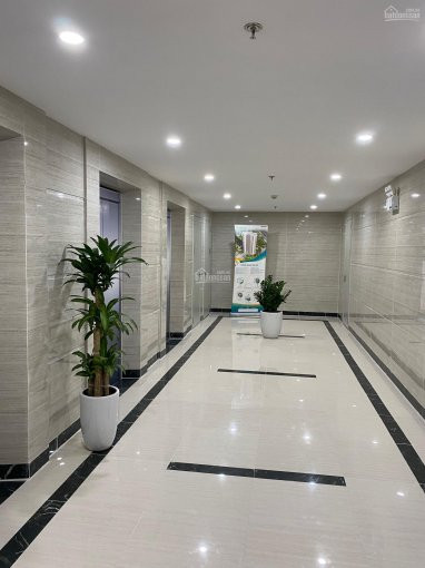 Chỉ 1,9 Tỷ Căn 3pn 83m2 Tầng đẹp, Trực Tiếp Cđt An Bình Plaza Chiết Khấu 145tr Nhận Nhà ở Ngay 7