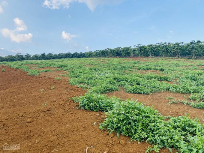 Chính Chủ Bán đất Bảo Lộc, Giá Rẻ Nhất Khu Vực, Ngay Nút Giao Cao Tốc Dầu Giây - Liên Khương 4