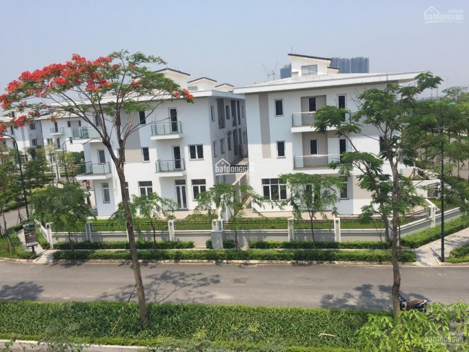 Chính Chủ Bán Nhanh Biệt Thự Khu K Ciputra 140m2, 180m2, 324m2, 400m2, Giá 21,5 Tỷ đã Có Sổ đỏ, Nhận Nhà ở Ngay 7