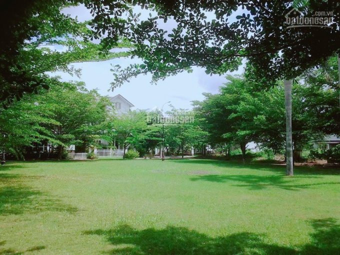 Chính Chủ Bán Nhanh Biệt Thự Sân Vườn Ven Sông Sài Gòn, 250m2, 2 Tầng, Chỉ 5 Tỷ 2