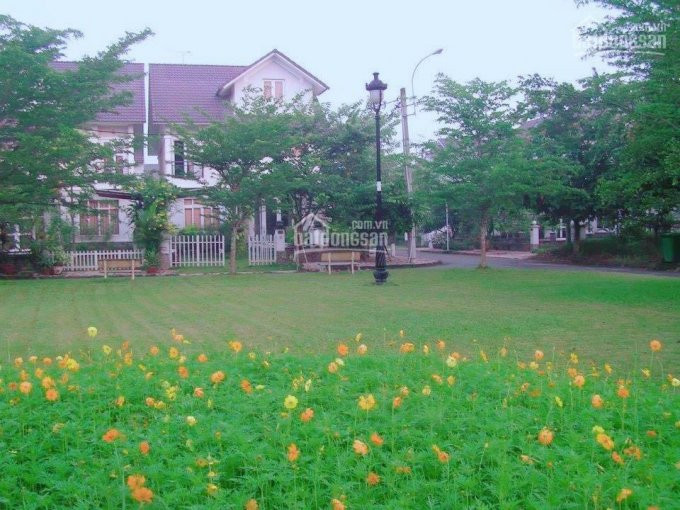 Chính Chủ Bán Nhanh Biệt Thự Sân Vườn Ven Sông Sài Gòn, 250m2, 2 Tầng, Chỉ 5 Tỷ 3