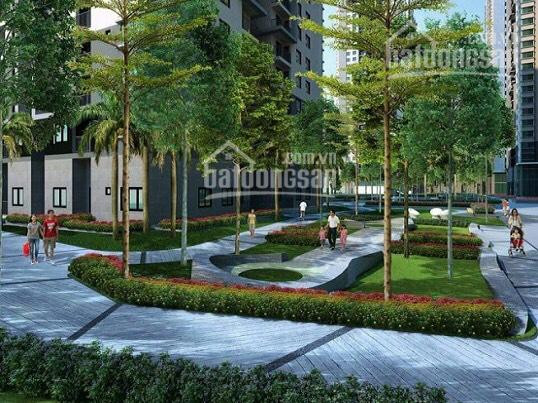 Chính Chủ Bán Nhanh Căn Hộ 2pn Saigon South Residences 2 Tỷ 550, Dự án Pháp Lý Rõ Ràng, Có Sổ Hồng 4