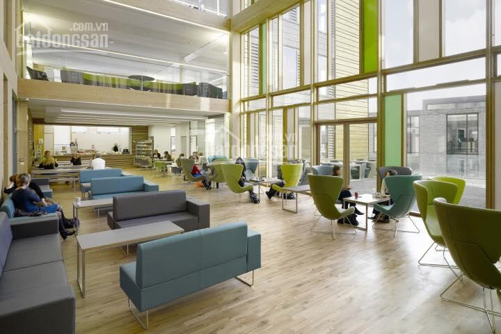 Chính Chủ Bán Nhanh Căn Nhà Phố Thương Mại Tiện Kd, ở, Làm Văn Phòng, Mở Siêu Thị, Dt: 140m2/92tỷ, Lh 0908207092 1