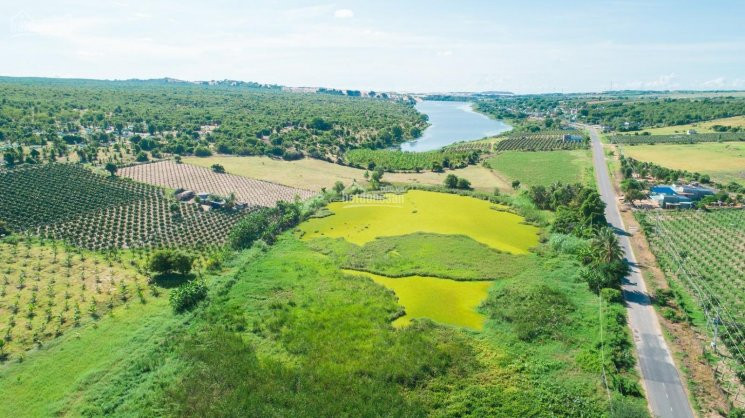 Chính Chủ Bán Nhanh đất Nông Nghiệp Vị Trí đắc địa Liền Kề Các đại đô Thị Tại Hồng Thái Garden Lh: 0566666688 5