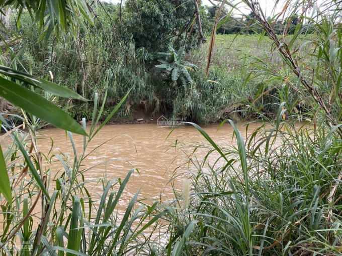 Chính Chủ Bán Nhanh đất Thôn 2 Mê Linh, Giáp Suối Cam Ly Chỉ 780 Tr/ 1000m, Cách Tt đà Lạt 18 Km, Lên Full Thổ Cư 1